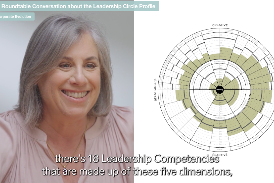 A Roundtable Conversation about the Leadership Circle Profile